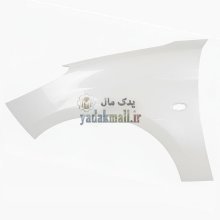 گلگیر 207 سوراخ دار سفید جلو چپ ایساکو